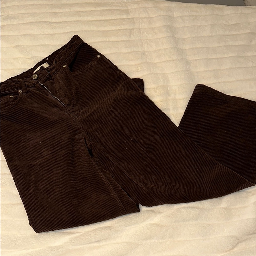 BDG Brown Wide Leg Corduroy Pants